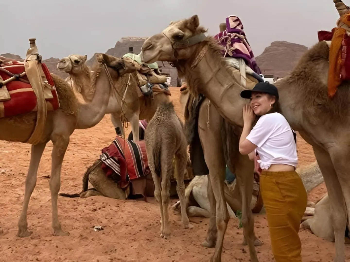 Han/Misafirhane Wadi Rum My Dream Akabe Ürdün